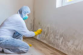 Reliable Girardville, PA Mold Prevention & Removal  Solutions